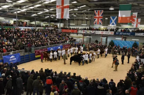 Royal Welsh Showground