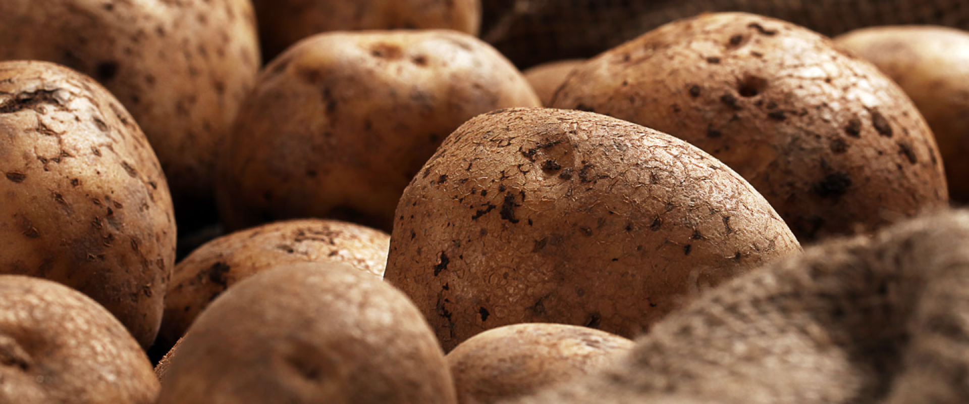 Potato Europe - exclusive offers for hotel deals near the trade expo