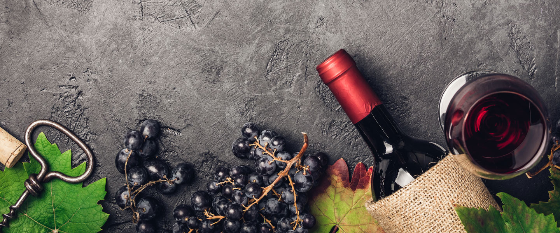 Vinexpo Paris Paris 2025 Exhibition Info & Hotels Travel2Fair