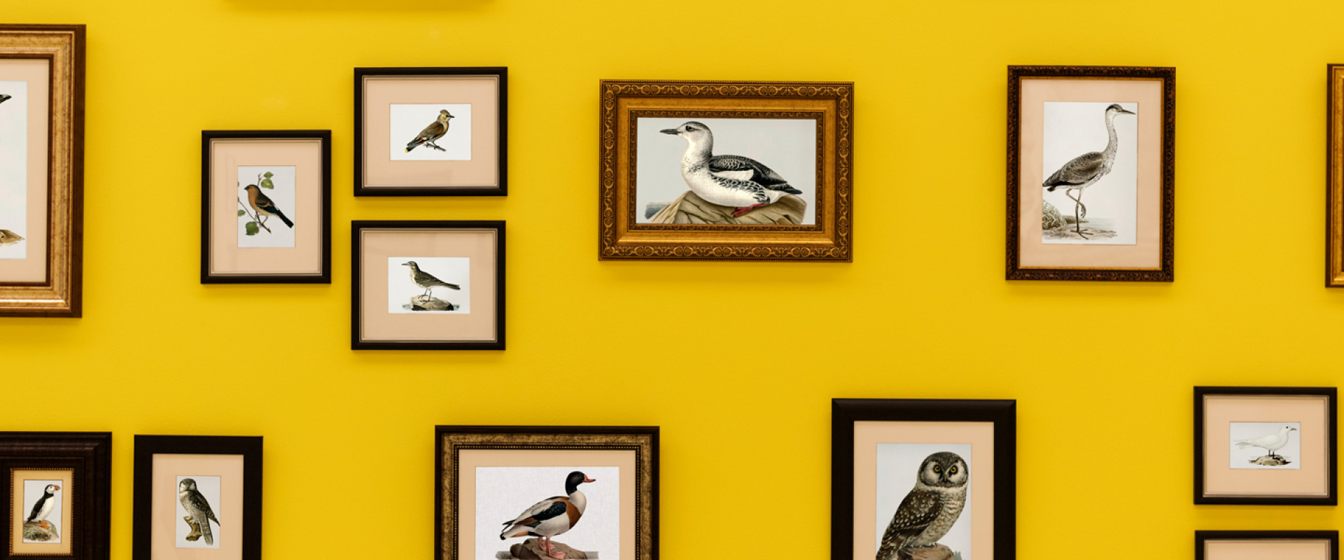 ART PARIS ART FAIR Paris 2024 Exhibition Info & Hotels Travel2Fair