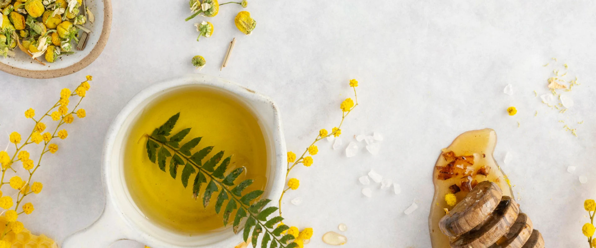 Natural Products Expo West