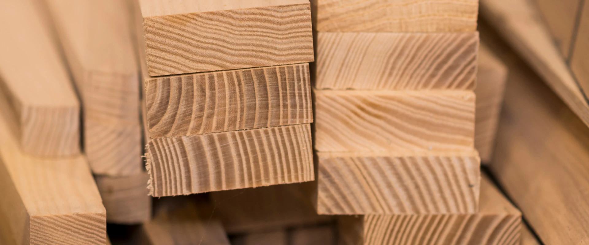 DACH+HOLZ International