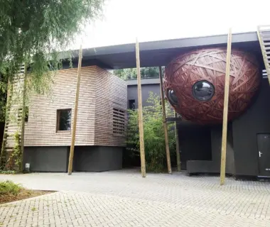 Un Nid Et Gîte à Tournai