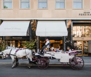 Grand Ferdinand Vienna