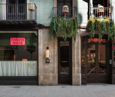 chic&basic Habana Hoose