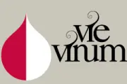 VIEVINUM 2021 logo